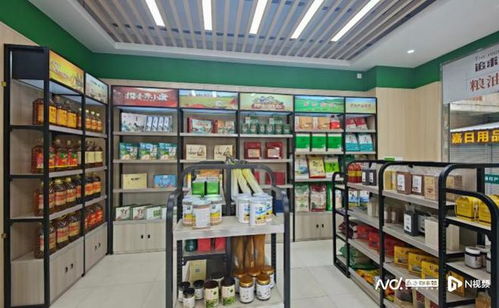 禪城供銷農產品展示中心正式啟用，超百種特色農產品驚艷亮相